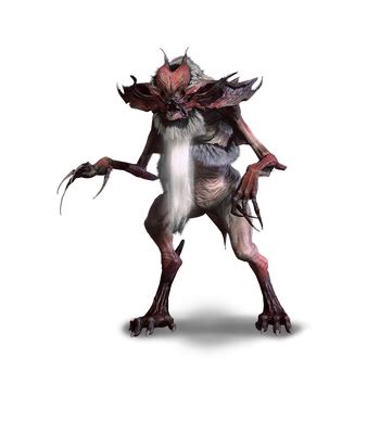 ekimarra